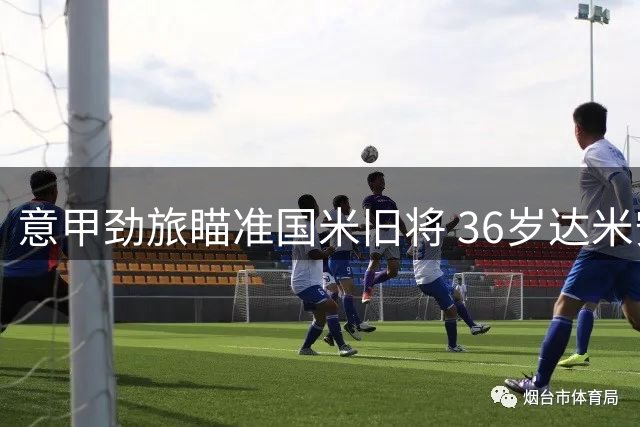 意甲劲旅瞄准国米旧将 36岁达米安或加盟萨索洛