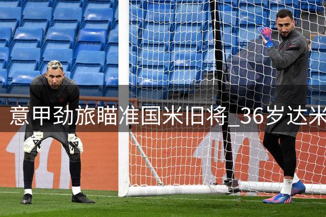 意甲劲旅瞄准国米旧将 36岁达米安或加盟萨索洛